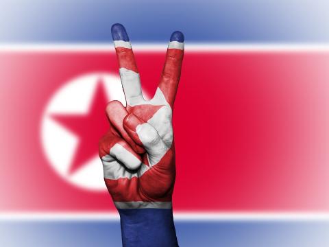 North Korea flag and peace sign