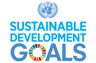 UN SDGs logo