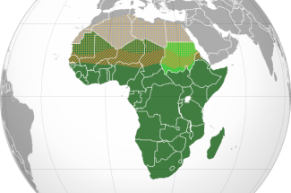 Graphic of Sub-Saharan Africa